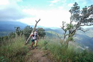 BIB: 
                            <button type="button" onclick="openModal(22372543)" class="btn btn-primary btn-sm float-right btn-popup" data-toggle="modal" data-target=".modal-high-quality">
                        <i class="fas fa-shopping-cart"></i> Add to Cart
                    </button>
                                            <button type="button" onclick="isThisMe(22372543, true)" class="btn btn-success btn-sm float-right btn-popup btn-isme hidden" data-toggle="tooltip" data-placement="bottom" title="นี่คือรูปของคุณใช่ไหม คลิกที่นี่เพื่อเอาเข้าอัลบั้ม">
                        <i class="fas fa-plus"></i> Add to album
                    </button>
                    <button type="button" onclick="isThisMe(22372543, false)" class="btn btn-warning btn-sm float-right btn-popup btn-isnotme hidden">
                        <i class="fas fa-ban"></i> Remove from album
                    </button>